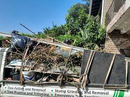 Best Shed Removal  in Newark, DE